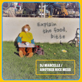 DJ Marcelle/Explain The Food, Bitte! - LP